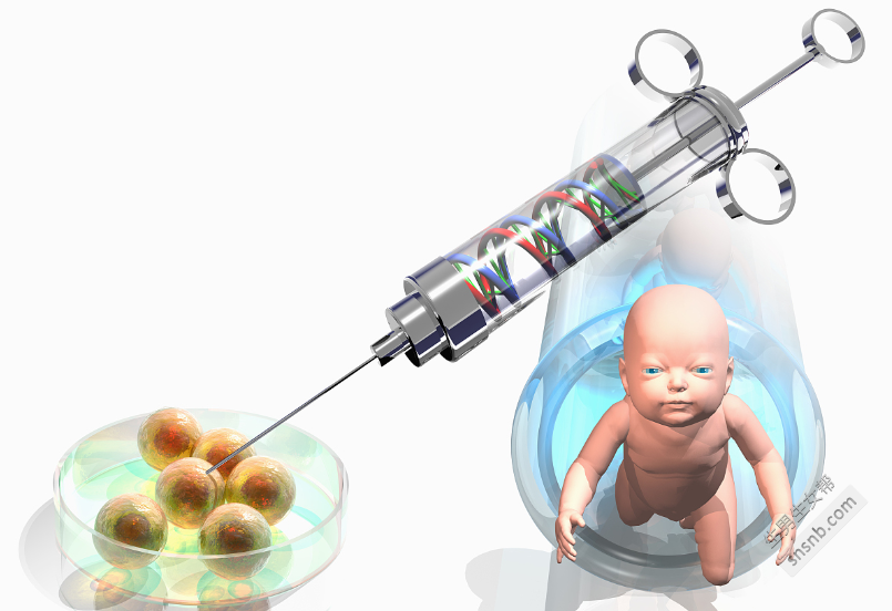 试管婴儿胚胎移植前后应注意的问题