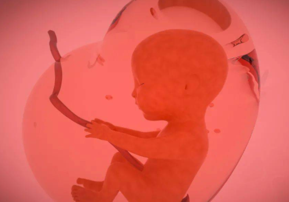 淮安助孕机构咨询-试管婴儿知识、历史和值