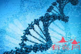 湖州助孕机构生子-DNA分子的结构是什么