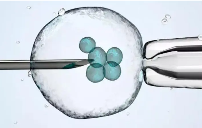 漳州供卵助孕双胞胎：移植新鲜胚胎可以生双